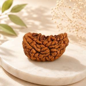 1 Mukhi Rudraksha — Original Nepali Bead