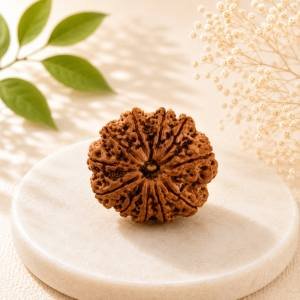 10 Mukhi Rudraksha — Original Nepali Bead
