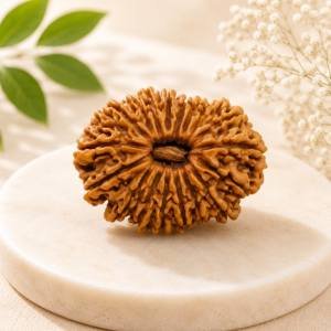 19 Mukhi Rudraksha — Original Nepali Bead