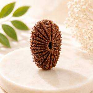 21 Mukhi Rudraksha — Original Nepali Bead