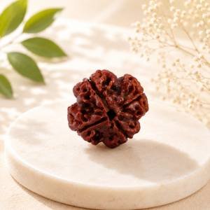 4 Mukhi Rudraksha — Original Nepali Bead