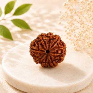 8 Mukhi Rudraksha — Original Nepali Bead