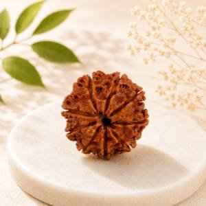9 Mukhi Rudraksha — Original Nepali Bead