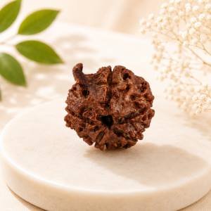 Ganesh Rudraksha — Natural Trunk Bead