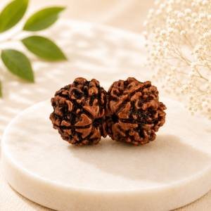 Gauri Shankar Rudraksha — Natural Joined Bead